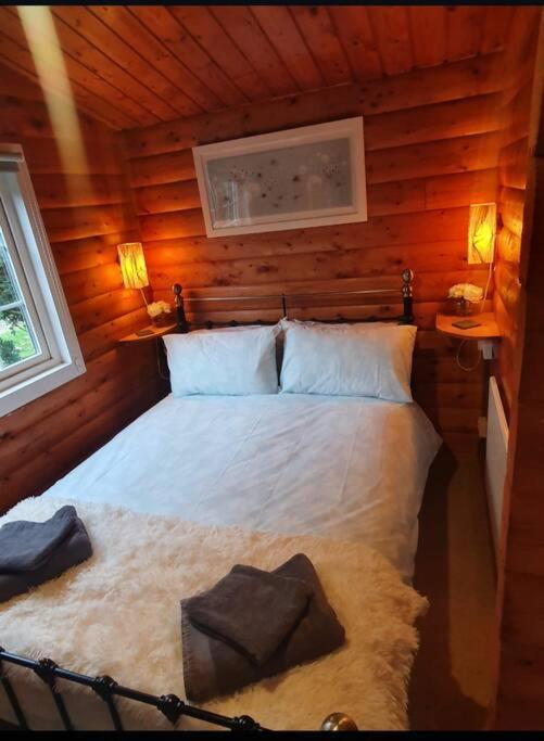 Cosy Cabin In Snowdonia With Views Wi-Fi Dog Friendly & Parking Trawsfynydd Exterior foto