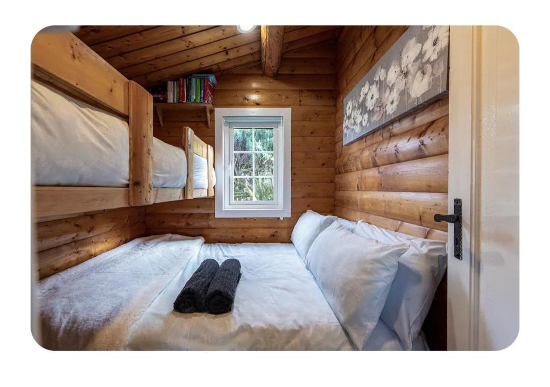 Cosy Cabin In Snowdonia With Views Wi-Fi Dog Friendly & Parking Trawsfynydd Exterior foto